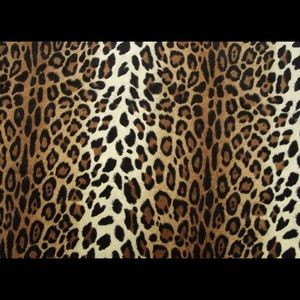 Meet your Posher, Pia